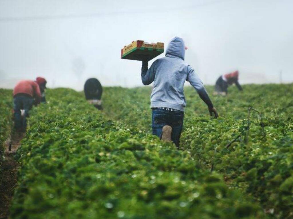 agricoltura immigrati caporalato pac