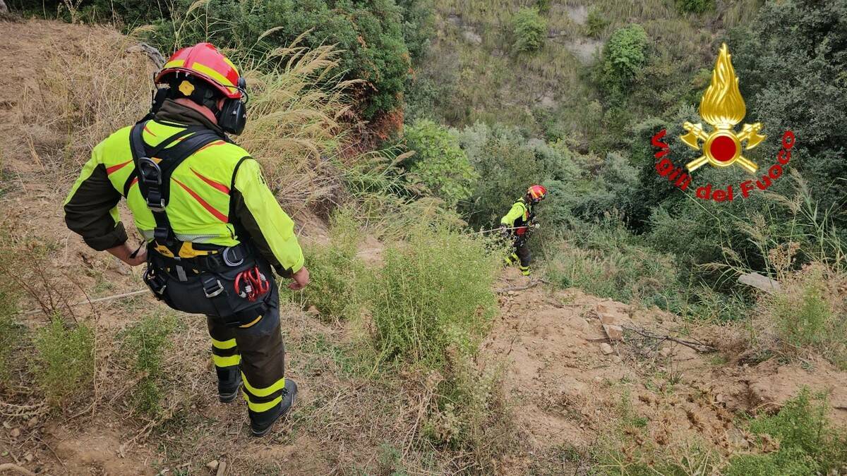 soccorso cavallo3