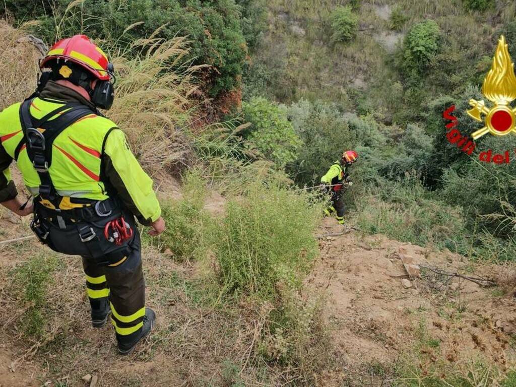 soccorso cavallo3