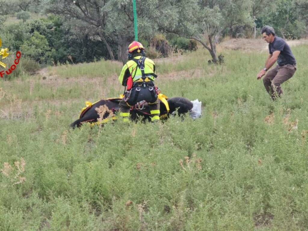 soccorso cavallo5