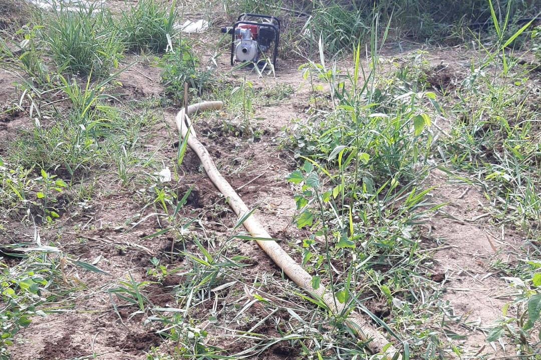 piantagione marijuana a Brasimato, Crotone